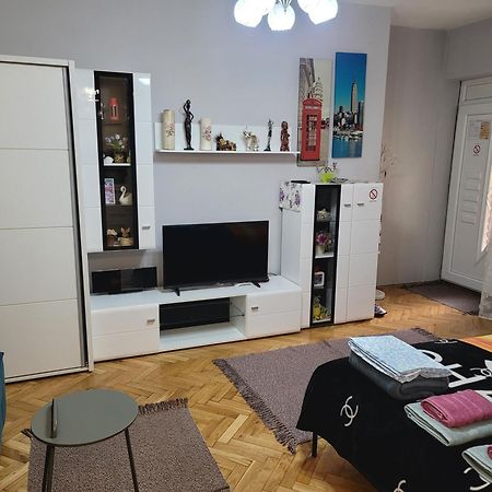 Apartman "Garden" Novi Sad Extérieur photo
