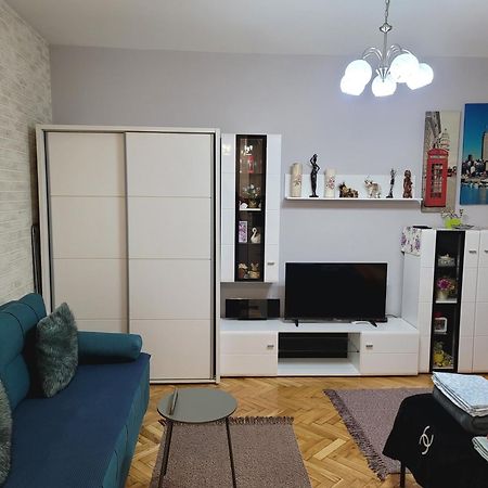 Apartman "Garden" Novi Sad Extérieur photo