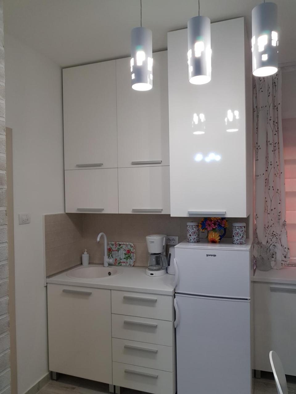 Apartman "Garden" Novi Sad Extérieur photo